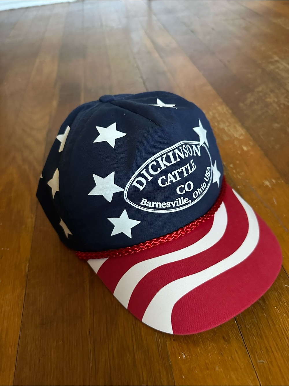 vintage usa midwest hat